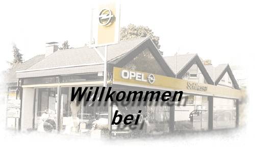 Willkommen bei Opel Schliesser in Gernsheim